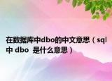 在数据库中dbo的中文意思（sql中 dbo  是什么意思）