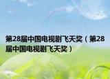 第28届中国电视剧飞天奖（第28届中国电视剧飞天奖）