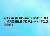 完美dota2如何用steam启动项（打开dota2完美世界,提示连不上steam平台,没法启动）
