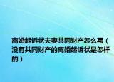 离婚起诉状夫妻共同财产怎么写（没有共同财产的离婚起诉状是怎样的）