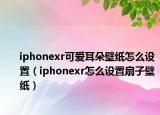 iphonexr可爱耳朵壁纸怎么设置（iphonexr怎么设置扇子壁纸）