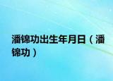 潘锦功出生年月日（潘锦功）