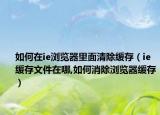 如何在ie浏览器里面清除缓存（ie缓存文件在哪,如何消除浏览器缓存）