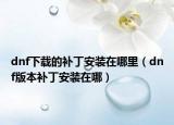 dnf下载的补丁安装在哪里（dnf版本补丁安装在哪）