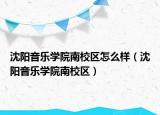 沈阳音乐学院南校区怎么样（沈阳音乐学院南校区）
