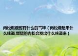 肉松燃烧时有什么的气味（肉松烧起来什么味道,燃烧的肉松会发出什么味道来）