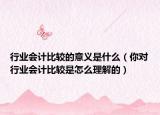行业会计比较的意义是什么（你对行业会计比较是怎么理解的）