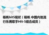 杨帆hit5现状（杨帆 中国内地流行乐男歌手Hit-5组合成员）