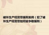 破坏生产经营罪缓刑案例（犯了破坏生产经营罪如何能争取缓刑）