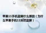 苹果11手机蓝屏什么原因（为什么苹果手机11突然蓝屏）