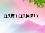 白头鹰（白头神探1）