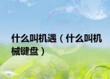 什么叫机遇（什么叫机械键盘）