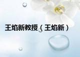 王焰新教授（王焰新）