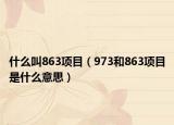 什么叫863项目（973和863项目是什么意思）