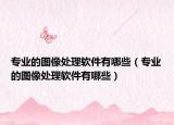 专业的图像处理软件有哪些（专业的图像处理软件有哪些）