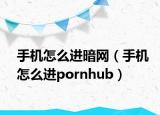 手机怎么进暗网（手机怎么进pornhub）