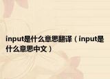 input是什么意思翻译（input是什么意思中文）
