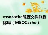 msocache隐藏文件能删除吗（MSOCache）