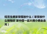 经常生病家里摆放什么（家里放什么植物好 家中摆一盆大病小病全走光）