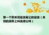 第一个称关羽是美髯公的是谁（关羽的美称上叫美须公吗）