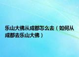 乐山大佛从成都怎么去（如何从成都去乐山大佛）