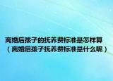 离婚后孩子的抚养费标准是怎样算（离婚后孩子抚养费标准是什么呢）