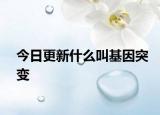 今日更新什么叫基因突变