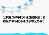 公积金贷款审批不通过的原因（公积金贷款审批不通过该怎么办呢）