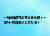 一加6如何开启开发者选项（一加6开发者选项设置方法）