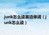 junk怎么读英语单词（junk怎么读）