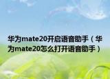 华为mate20开启语音助手（华为mate20怎么打开语音助手）