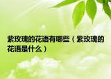 紫玫瑰的花语有哪些（紫玫瑰的花语是什么）