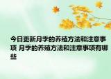 今日更新月季的养殖方法和注意事项 月季的养殖方法和注意事项有哪些