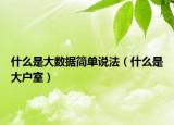 什么是大数据简单说法（什么是大户室）