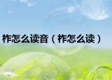 柞怎么读音（柞怎么读）