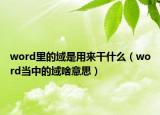 word里的域是用来干什么（word当中的域啥意思）