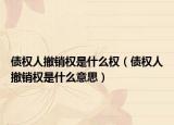 债权人撤销权是什么权（债权人撤销权是什么意思）