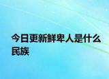 今日更新鲜卑人是什么民族