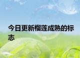 今日更新榴莲成熟的标志