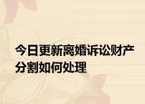 今日更新离婚诉讼财产分割如何处理