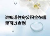 谁知道住房公积金在哪里可以查到