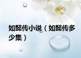 如懿传小说（如懿传多少集）