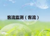 客流监测（客流）