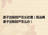 妻子出轨财产怎么处理（民法典妻子出轨财产怎么办）