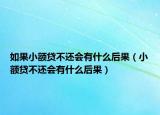 如果小额贷不还会有什么后果（小额贷不还会有什么后果）
