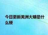 今日更新美洲大蠊是什么梗