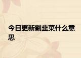 今日更新割韭菜什么意思