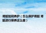 肾脏如何养护（怎么保护肾脏 肾脏进行保养这么做）