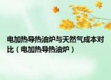 电加热导热油炉与天然气成本对比（电加热导热油炉）