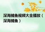 深海捕鱼视频大全播放（深海捕鱼）